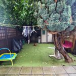 Drew Road - Garden